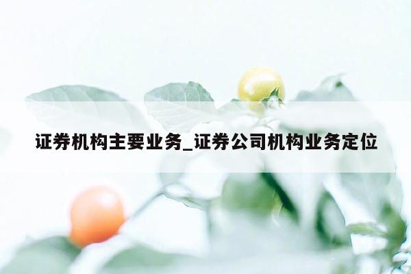 证券机构主要业务_证券公司机构业务定位