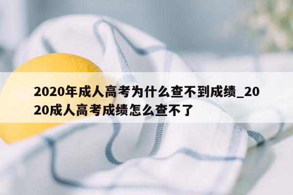 2020年成人高考为什么查不到成绩_2020成人高考成绩怎么查不了