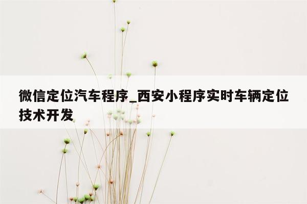 微信定位汽车程序_西安小程序实时车辆定位技术开发