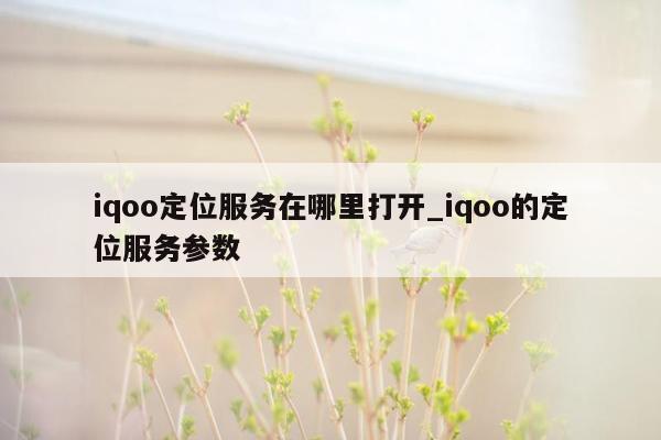 iqoo定位服务在哪里打开_iqoo的定位服务参数