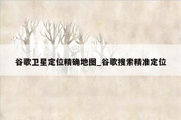 谷歌卫星定位精确地图_谷歌搜索精准定位