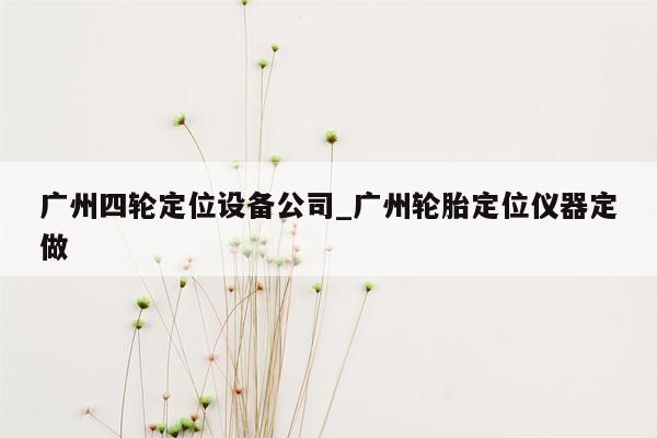 广州四轮定位设备公司_广州轮胎定位仪器定做