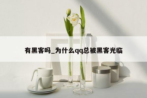 有黑客吗_为什么qq总被黑客光临