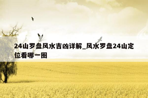 24山罗盘风水吉凶详解_风水罗盘24山定位看哪一圈