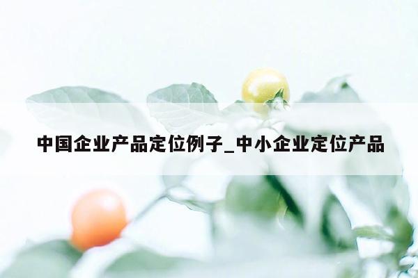 中国企业产品定位例子_中小企业定位产品