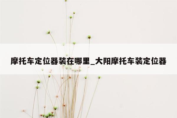 摩托车定位器装在哪里_大阳摩托车装定位器