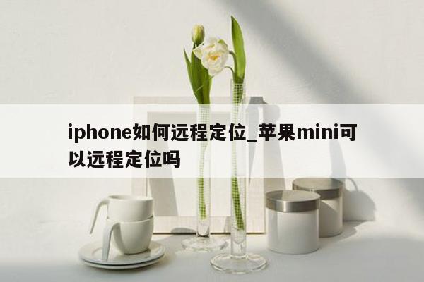 iphone如何远程定位_苹果mini可以远程定位吗