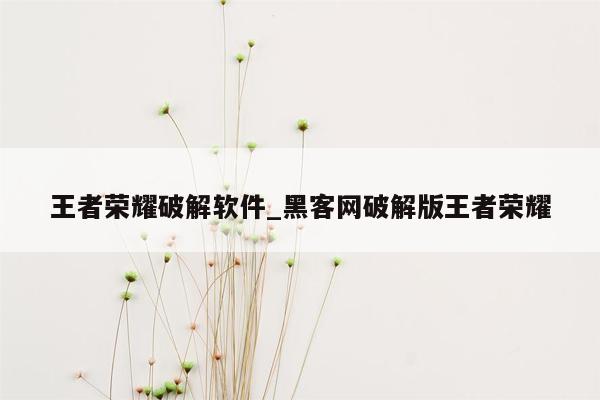 王者荣耀破解软件_黑客网破解版王者荣耀