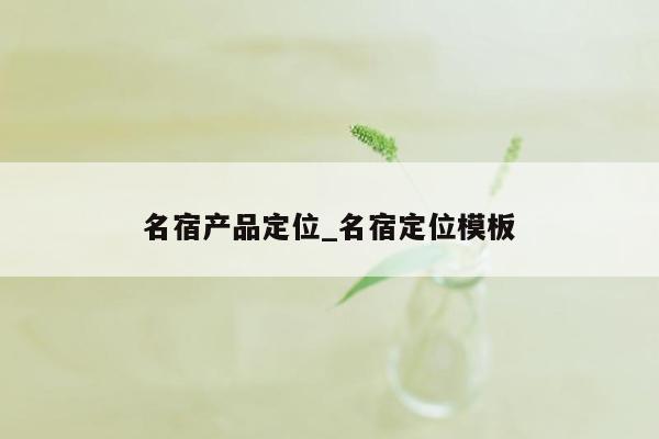 名宿产品定位_名宿定位模板