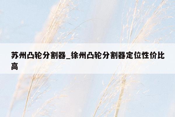苏州凸轮分割器_徐州凸轮分割器定位性价比高