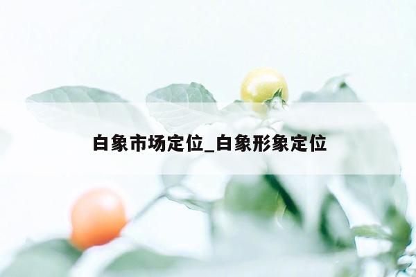 白象市场定位_白象形象定位