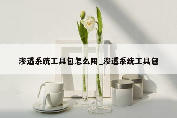 渗透系统工具包怎么用_渗透系统工具包