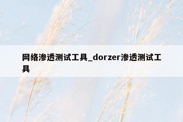 网络渗透测试工具_dorzer渗透测试工具