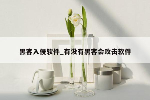 黑客入侵软件_有没有黑客会攻击软件