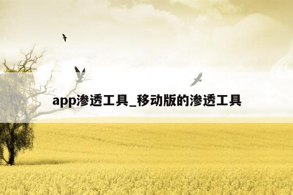 app渗透工具_移动版的渗透工具