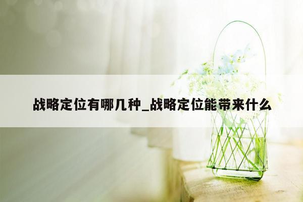 战略定位有哪几种_战略定位能带来什么