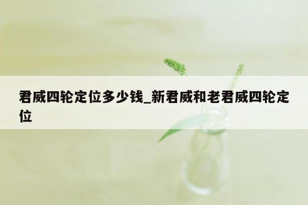 君威四轮定位多少钱_新君威和老君威四轮定位