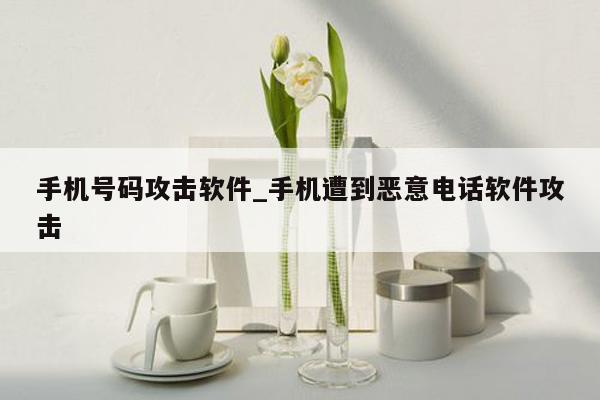 手机号码攻击软件_手机遭到恶意电话软件攻击