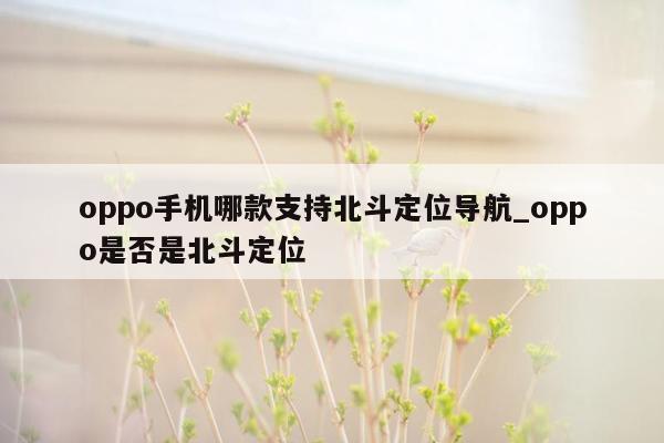 oppo手机哪款支持北斗定位导航_oppo是否是北斗定位