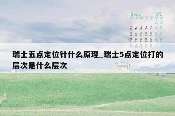 瑞士五点定位针什么原理_瑞士5点定位打的层次是什么层次