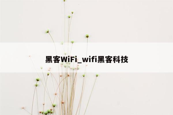 黑客WiFi_wifi黑客科技