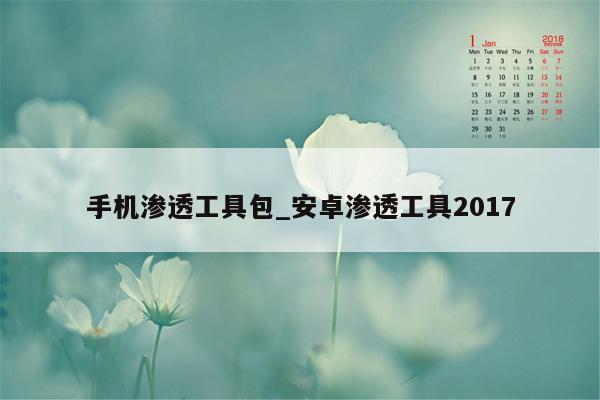 手机渗透工具包_安卓渗透工具2017