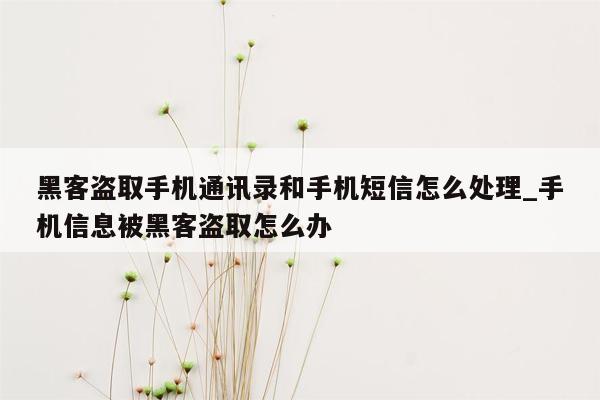黑客盗取手机通讯录和手机短信怎么处理_手机信息被黑客盗取怎么办