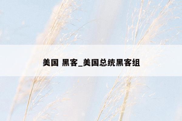 美国 黑客_美国总统黑客组