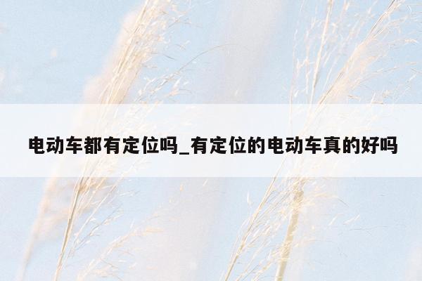 电动车都有定位吗_有定位的电动车真的好吗