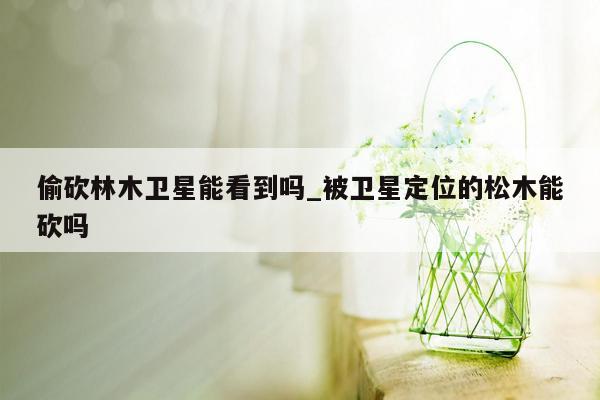 偷砍林木卫星能看到吗_被卫星定位的松木能砍吗