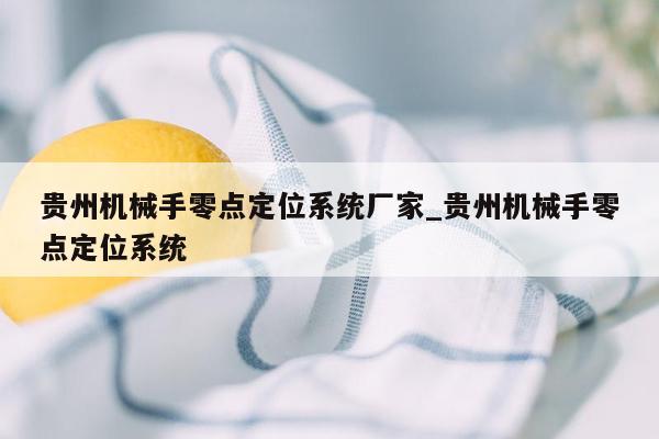 贵州机械手零点定位系统厂家_贵州机械手零点定位系统