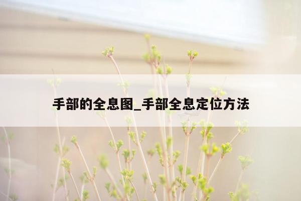 手部的全息图_手部全息定位方法