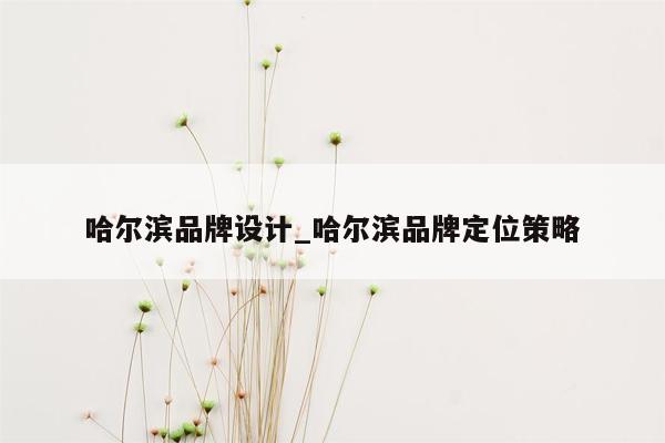 哈尔滨品牌设计_哈尔滨品牌定位策略