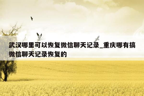 武汉哪里可以恢复微信聊天记录_重庆哪有搞微信聊天记录恢复的