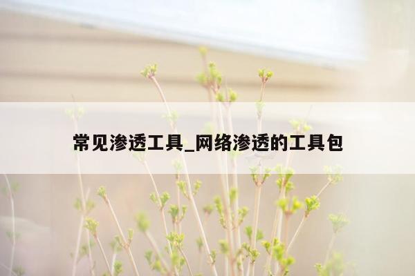 常见渗透工具_网络渗透的工具包