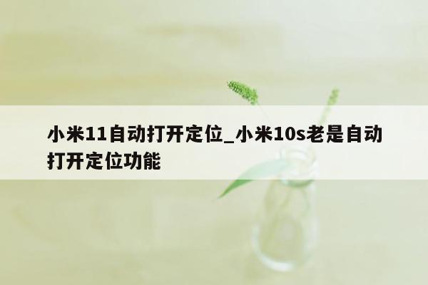 小米11自动打开定位_小米10s老是自动打开定位功能