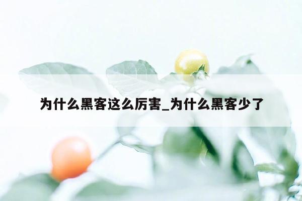 为什么黑客这么厉害_为什么黑客少了