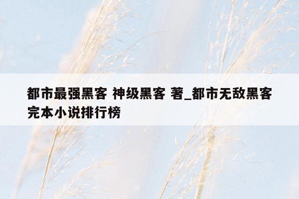 都市最强黑客 神级黑客 著_都市无敌黑客完本小说排行榜