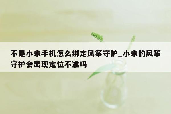 不是小米手机怎么绑定风筝守护_小米的风筝守护会出现定位不准吗