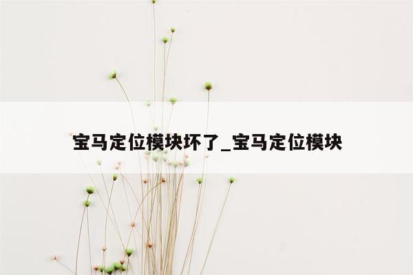 宝马定位模块坏了_宝马定位模块