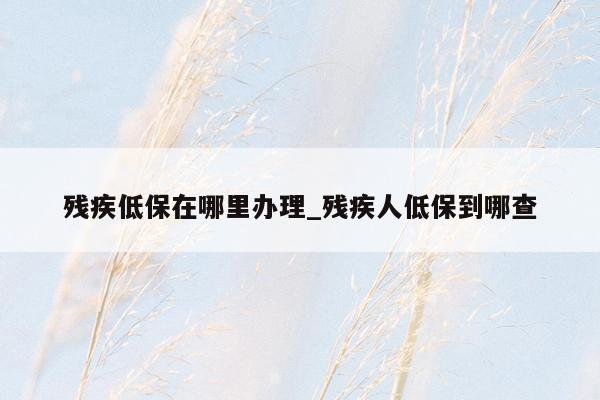 残疾低保在哪里办理_残疾人低保到哪查