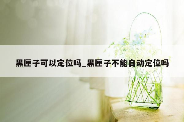 黑匣子可以定位吗_黑匣子不能自动定位吗