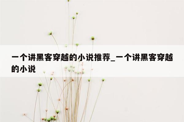 一个讲黑客穿越的小说推荐_一个讲黑客穿越的小说
