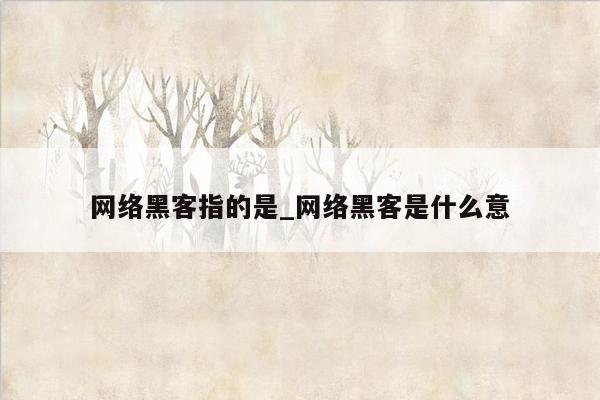 网络黑客指的是_网络黑客是什么意
