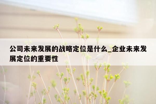 公司未来发展的战略定位是什么_企业未来发展定位的重要性