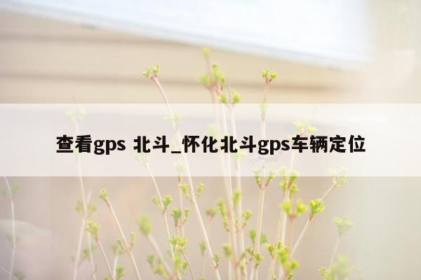 查看gps 北斗_怀化北斗gps车辆定位