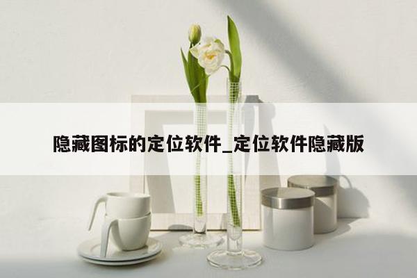 隐藏图标的定位软件_定位软件隐藏版