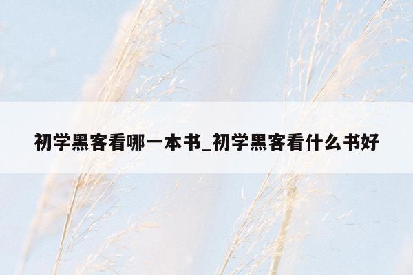 初学黑客看哪一本书_初学黑客看什么书好