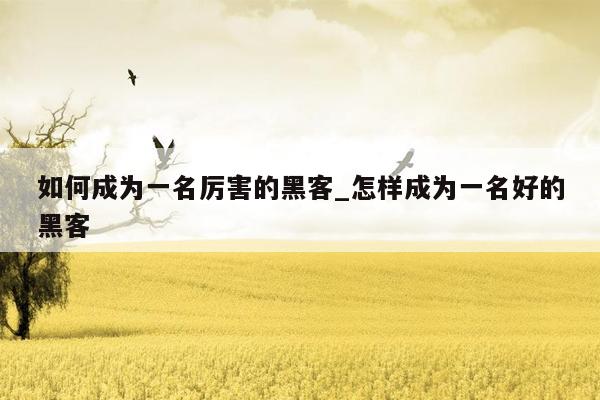 如何成为一名厉害的黑客_怎样成为一名好的黑客