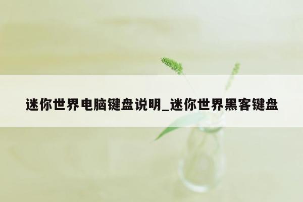 迷你世界电脑键盘说明_迷你世界黑客键盘